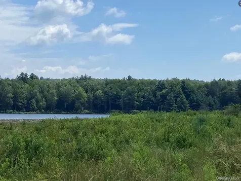 15 Bailey Lake Road Kiamesha Lake NY 12751