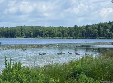 15 Bailey Lake Road Kiamesha Lake NY 12751