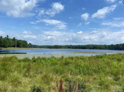 15 Bailey Lake Road Kiamesha Lake NY 12751