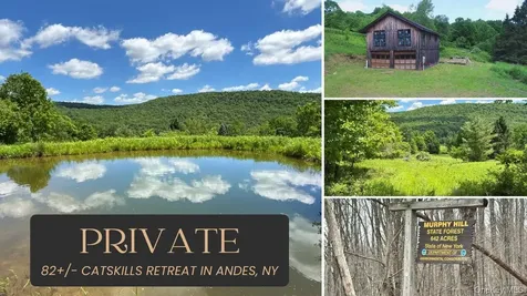 2613 Murphy Hill Road Andes NY 13731