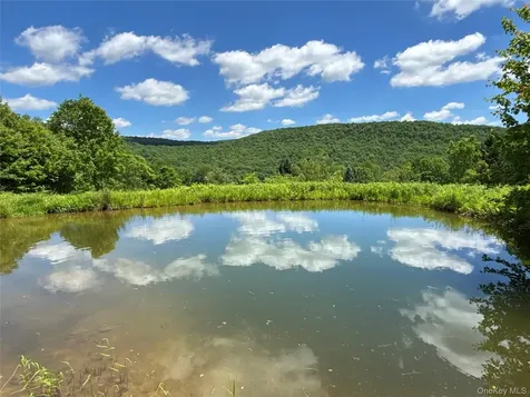 2613 Murphy Hill Road Andes NY 13731