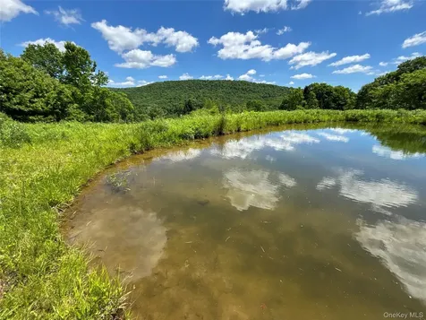 2613 Murphy Hill Road Andes NY 13731