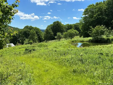 2613 Murphy Hill Road Andes NY 13731