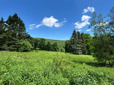 2613 Murphy Hill Road Andes NY 13731