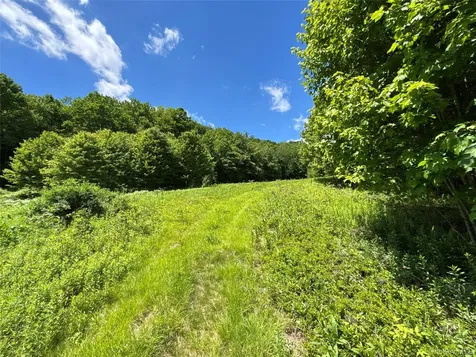 2613 Murphy Hill Road Andes NY 13731