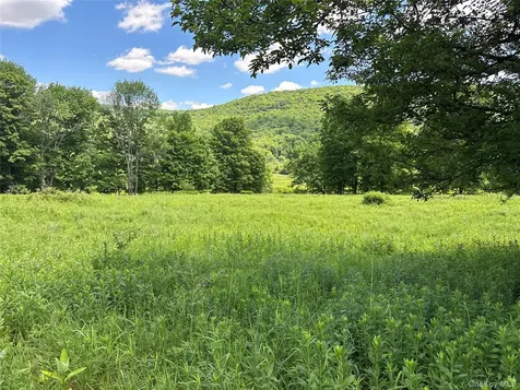 2613 Murphy Hill Road Andes NY 13731