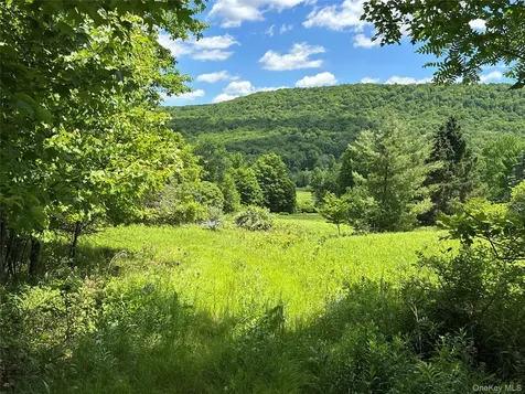 2613 Murphy Hill Road Andes NY 13731