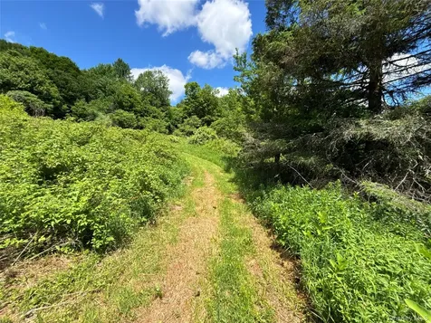 2613 Murphy Hill Road Andes NY 13731