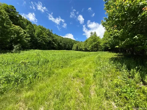 2613 Murphy Hill Road Andes NY 13731