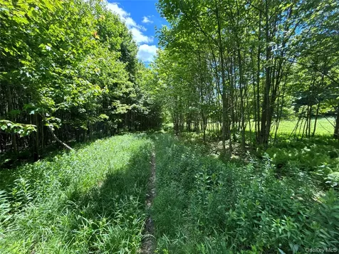 2613 Murphy Hill Road Andes NY 13731