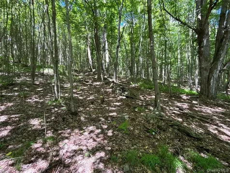 2613 Murphy Hill Road Andes NY 13731