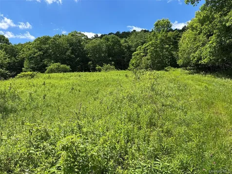 2613 Murphy Hill Road Andes NY 13731