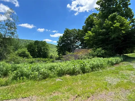 2613 Murphy Hill Road Andes NY 13731