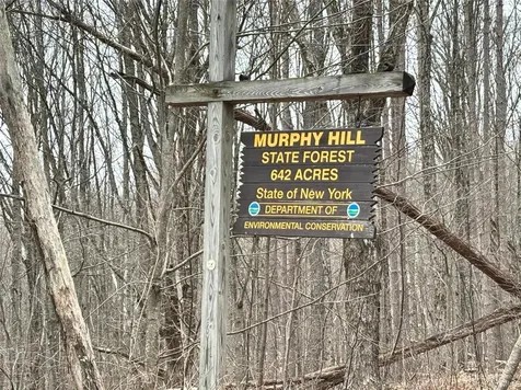 2613 Murphy Hill Road Andes NY 13731