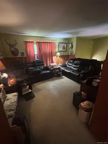 22 Pine Castle Drive Kerhonkson NY 12446