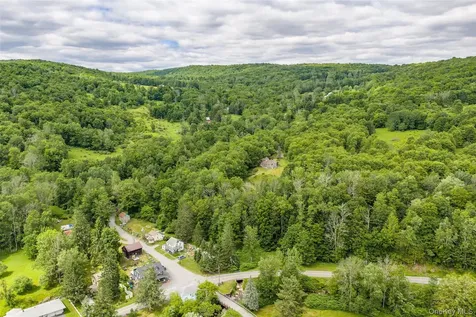 553 County Road 94 Hankins NY 12741