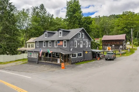 553 County Road 94 Hankins NY 12741