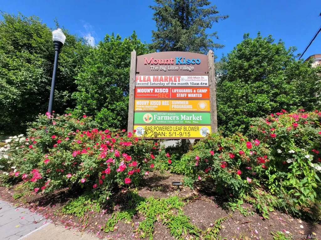 31 Timber Ridge Mount Kisco NY 10549
