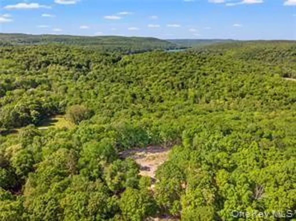 S White Rock Road Holmes NY 12564