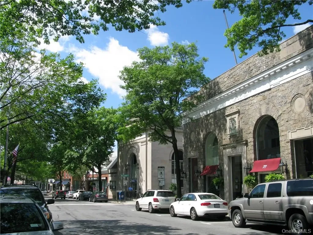 100 Theodore Fremd Avenue Rye NY 10580