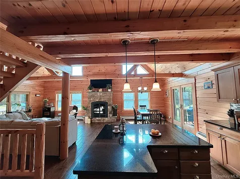 108 Eagles Ridge Way Parksville NY 12768