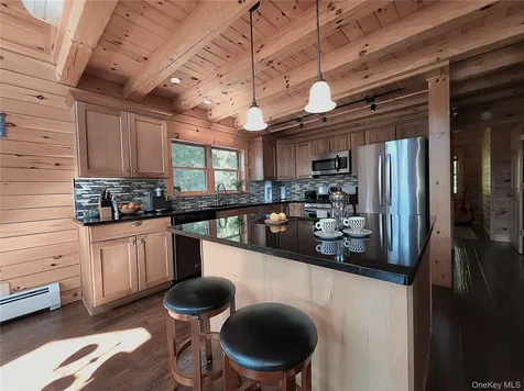 108 Eagles Ridge Way Parksville NY 12768