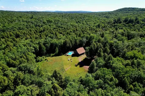 108 Eagles Ridge Way Parksville NY 12768
