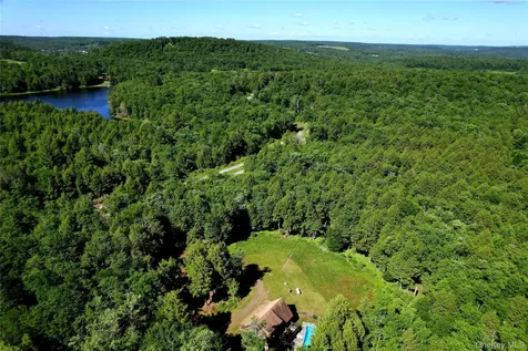 108 Eagles Ridge Way Parksville NY 12768