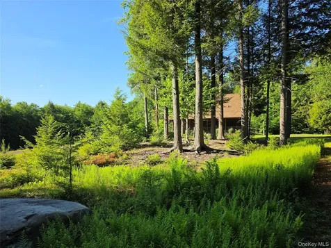 108 Eagles Ridge Way Parksville NY 12768