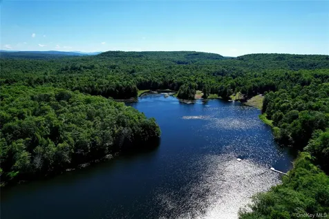 108 Eagles Ridge Way Parksville NY 12768