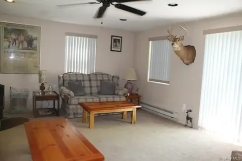 553 Friedenstein Road Long Eddy NY 12760