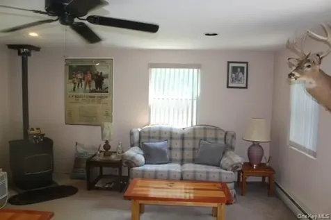 553 Friedenstein Road Long Eddy NY 12760