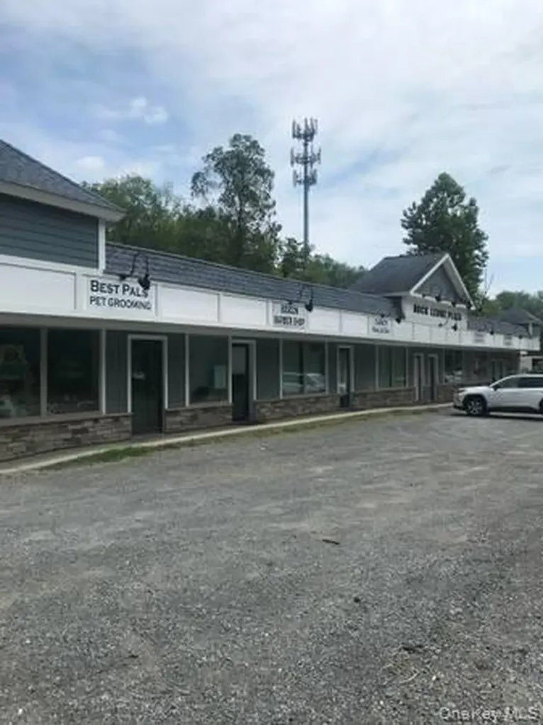 1164 State Route 9g Hyde Park NY 12538