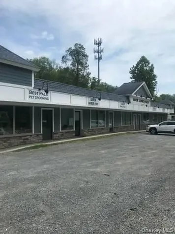 1164 State Route 9g Hyde Park NY 12538