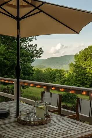 3027 New Kingston Mountain Road Other NY 12474