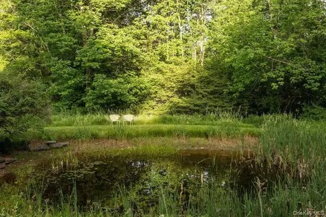 3027 New Kingston Mountain Road Other NY 12474