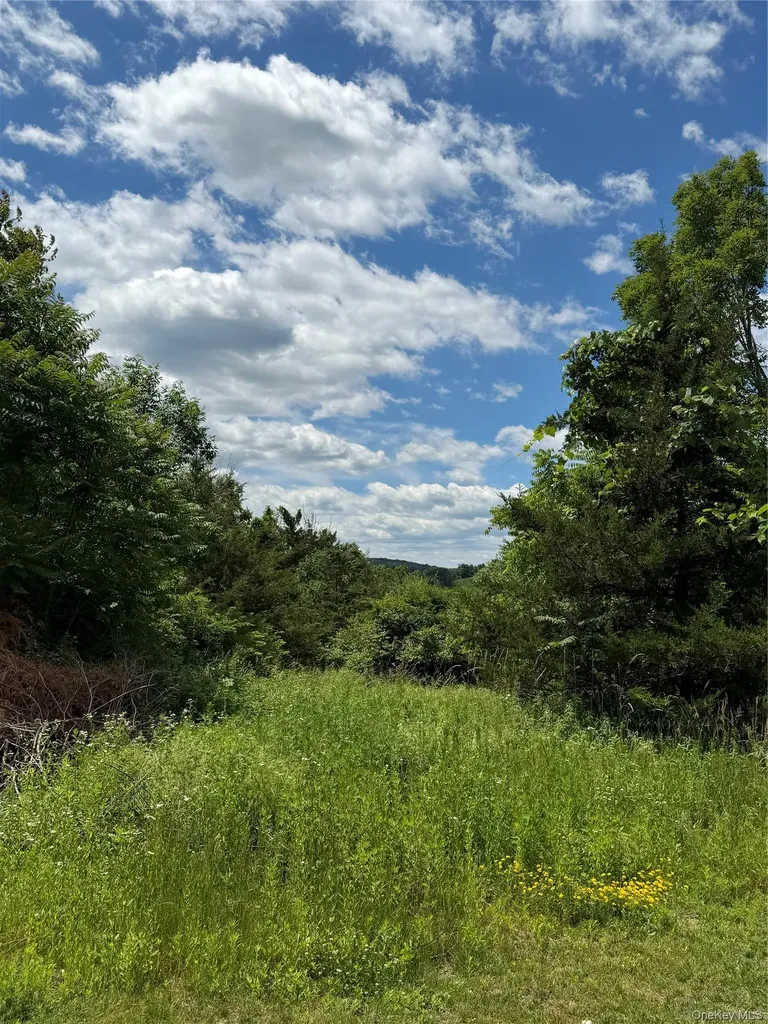 RT-199 Pine Plains NY 12567