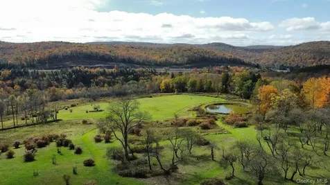 103 Breezy Hill Road Parksville NY 12768