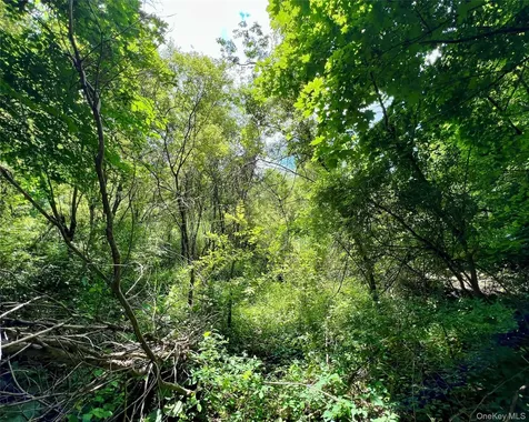 00 Baldwin Place Road Mahopac NY 10541