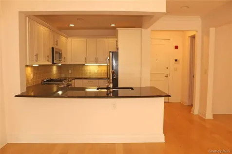 405 Trump Park Shrub Oak NY 10588
