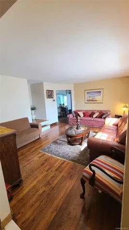 288 Frederick Avenue South Floral Park NY 11001