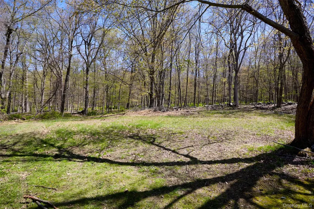 32 Cole Road Pleasant Valley NY 12569
