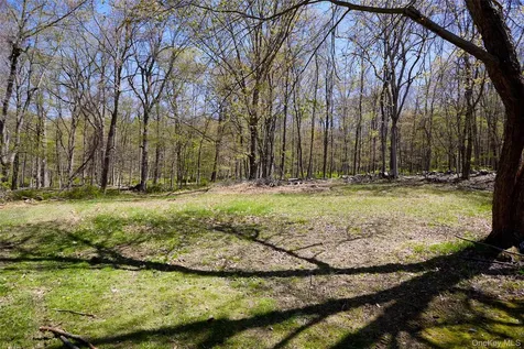 32 Cole Road Pleasant Valley NY 12569