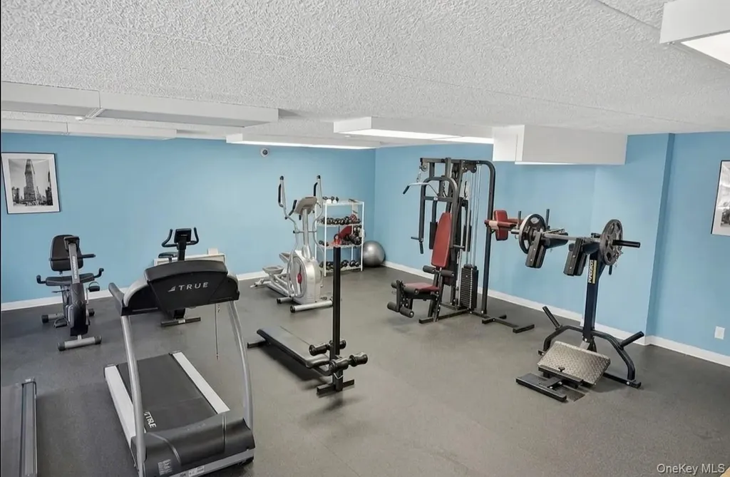 175 Maple Avenue Westbury NY 11590