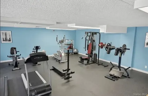 175 Maple Avenue Westbury NY 11590