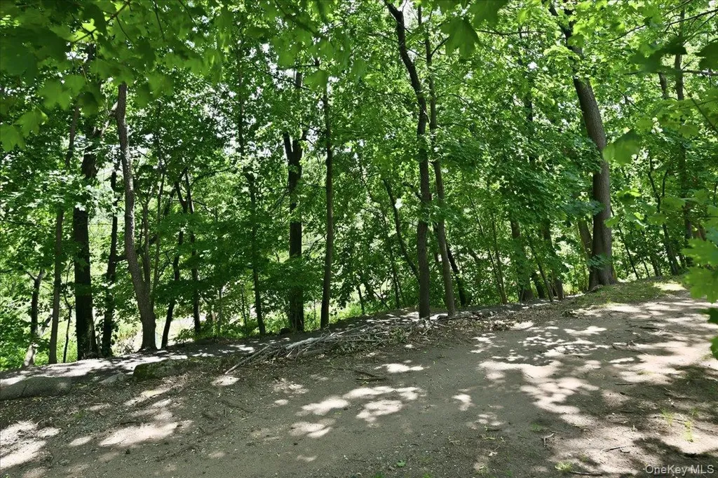 Floral Park NY 11001