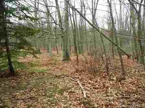 618 Bean River Road Millerton NY 12546