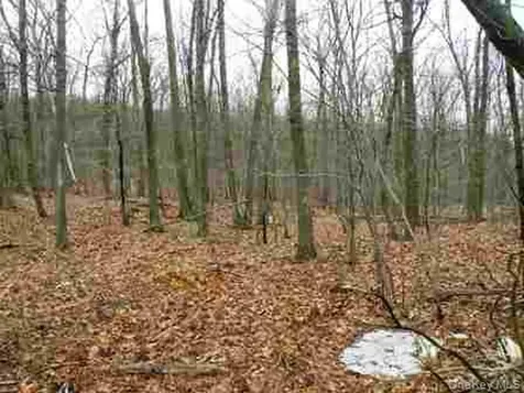 618 Bean River Road Millerton NY 12546