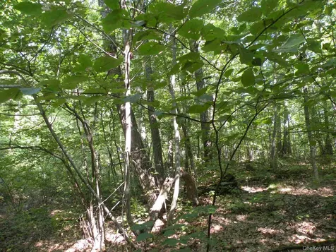 618 Bean River Road Millerton NY 12546