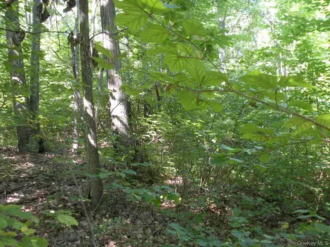 618 Bean River Road Millerton NY 12546